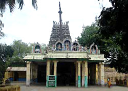 Tiruvavaduturai Temple