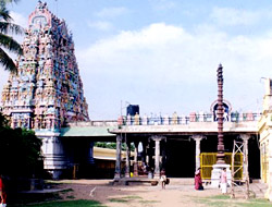 Tiruvirumpoolai Temple