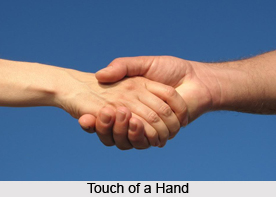 Touch of a Hand , Palmistry
