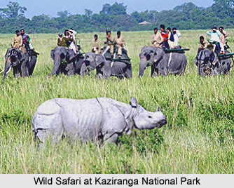 Tourism in Golaghat District