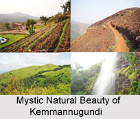 Tourism in Kemmannugundi