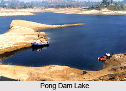 Tourism in Pong Dam
