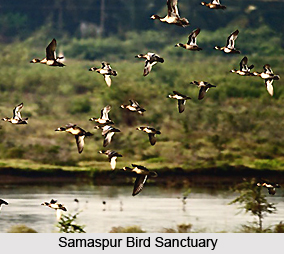 Tourism in Rae Bareli District