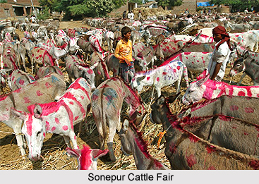 Tourism in Saran District