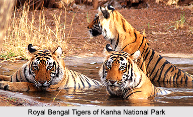 Tourism of Balaghat District