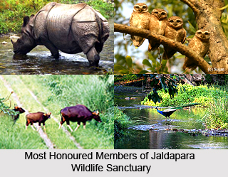Tourism of Jalpaiguri District