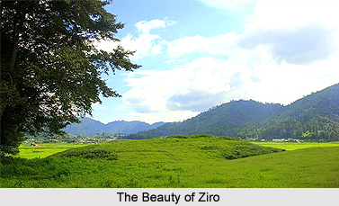 Tourist Places in Ziro, Arunachal Pradesh