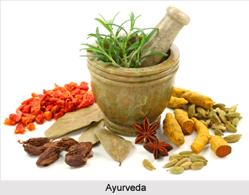 Traditional Indian Medicine during Vedic Period