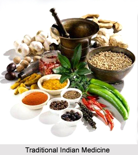 Traditional Indian Medicine in Ancient Period