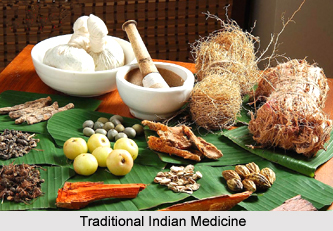 Traditional Indian Medicine in Later Modern Period