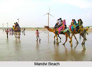Transport & Accomodation in Kutch