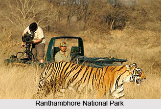Travel Information on Sawai Madhopur, Rajasthan