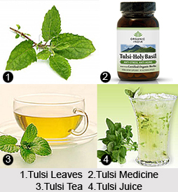 Treatment by Tulsi