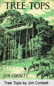 Tree Tops, Jim Corbett