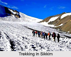Trekking in Sikkim
