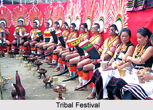 Tribal Festivals of Orissa