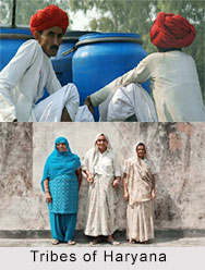 Tribes of Haryana