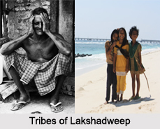 Tribes of Lakshadweep