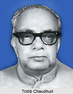 Tridib Chaudhuri, Indian Freedom Fighter