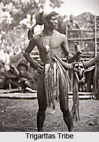 Trigarttas, Indian Puranic Tribes
