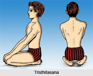 Tristhitasana, Meditative Asanas