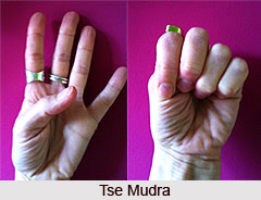 Tse Mudra