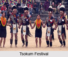 Tsokum Festival, Nagaland