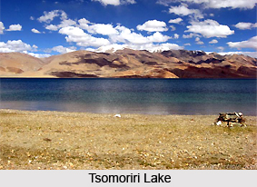 Tsomoriri Wetland Conservation Reserve, Ladakh