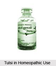 Tulsi in  Homeopathy