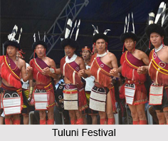 Tuluni Festival, Nagaland