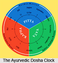 Types of Ayurvedic Doshas