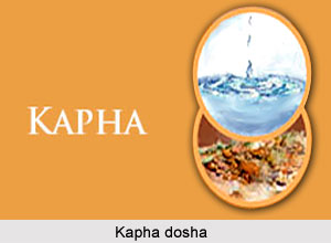 Types of Kapha Dosha