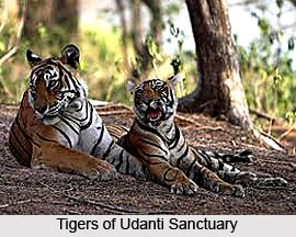 Udanti Wildlife Sanctuary, Chhattisgarh