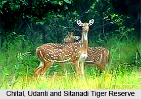 Udanti and Sitanadi Tiger Reserve, Dhamatari, Chhattisgarh