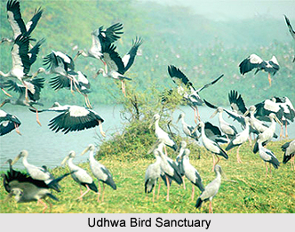 Tourism in Sahibganj District