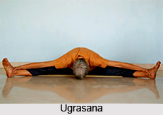 Ugrasana, Cultural Asana