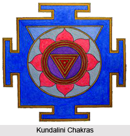 Unity and Destruction Chakras