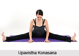 Upavistha Konasana