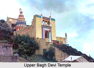 Upper Bagh Devi Temple, Orissa