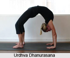 Urdhva Dhanurasana