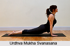 Urdhva Mukha Svanasana