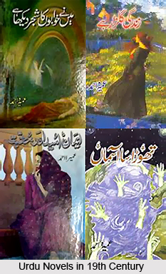 Urdu Novels in 19th century, Urdu Literature