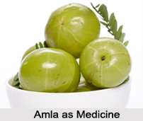 Use of Amla as Medicines, Classification of Medicine