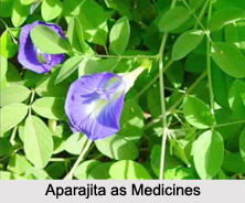 Use of Aparajita as Medicines, Classification of Medicine