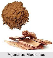 Use of Arjuna as Medicines, Classification of Medicine