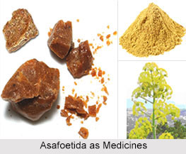 Use of Asafoetida as Medicines, Classification of Medicine