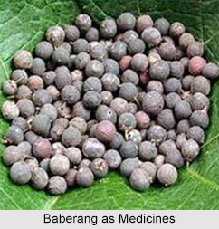 Use of Baberang as Medicines, Classification of Medicine