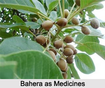 Use of Bahera as Medicines, Classification of Medicine