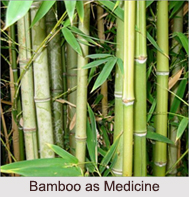 Use of Bamboo as Medicines