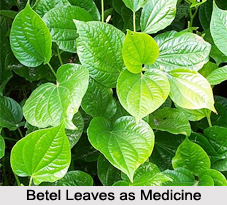 Use of Betel Leaves as Medicines, Classification of Medicine